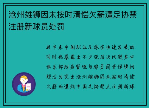 沧州雄狮因未按时清偿欠薪遭足协禁注册新球员处罚